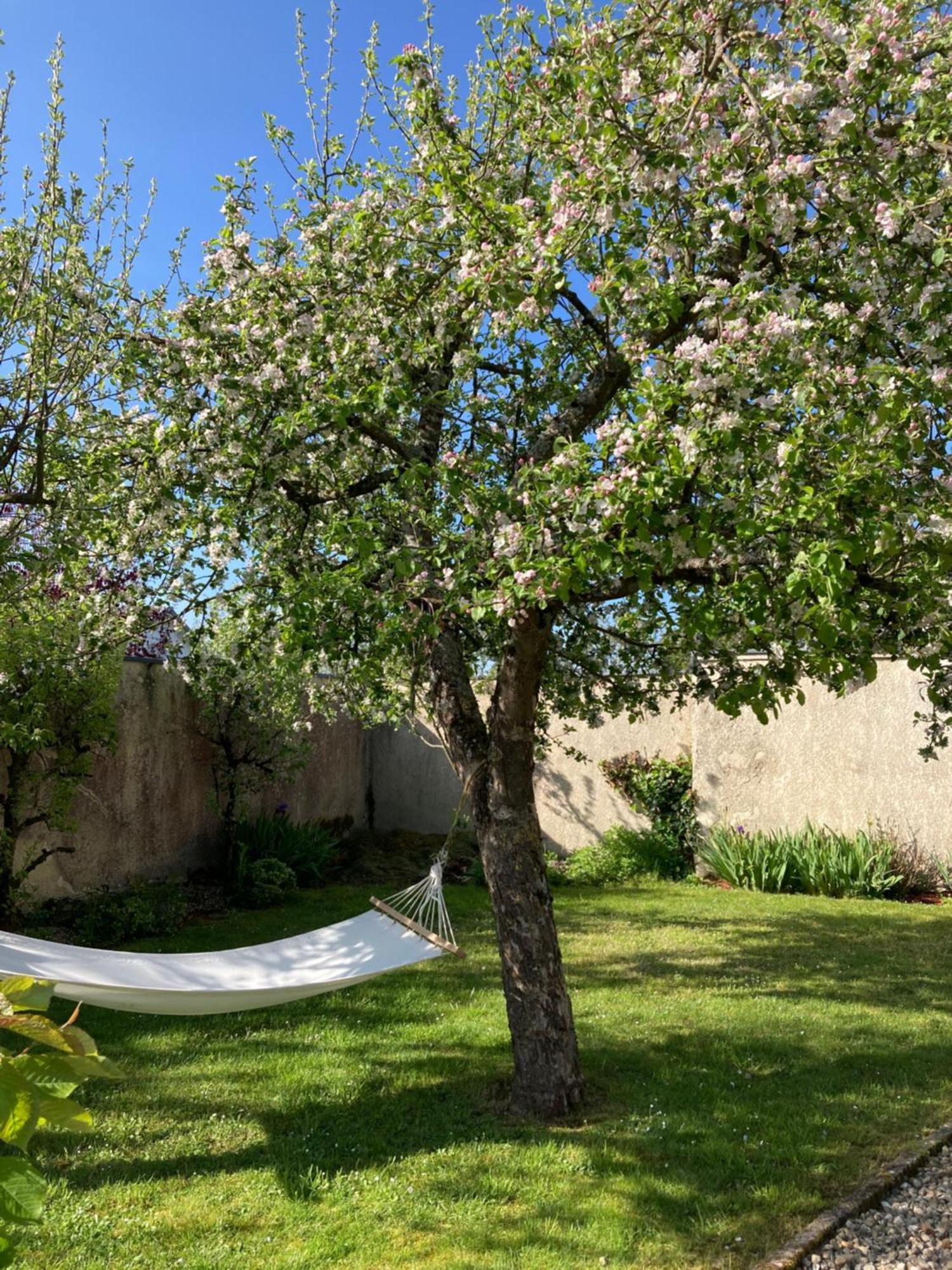 Maison Les Beaux Arts Mouzay  エクステリア 写真