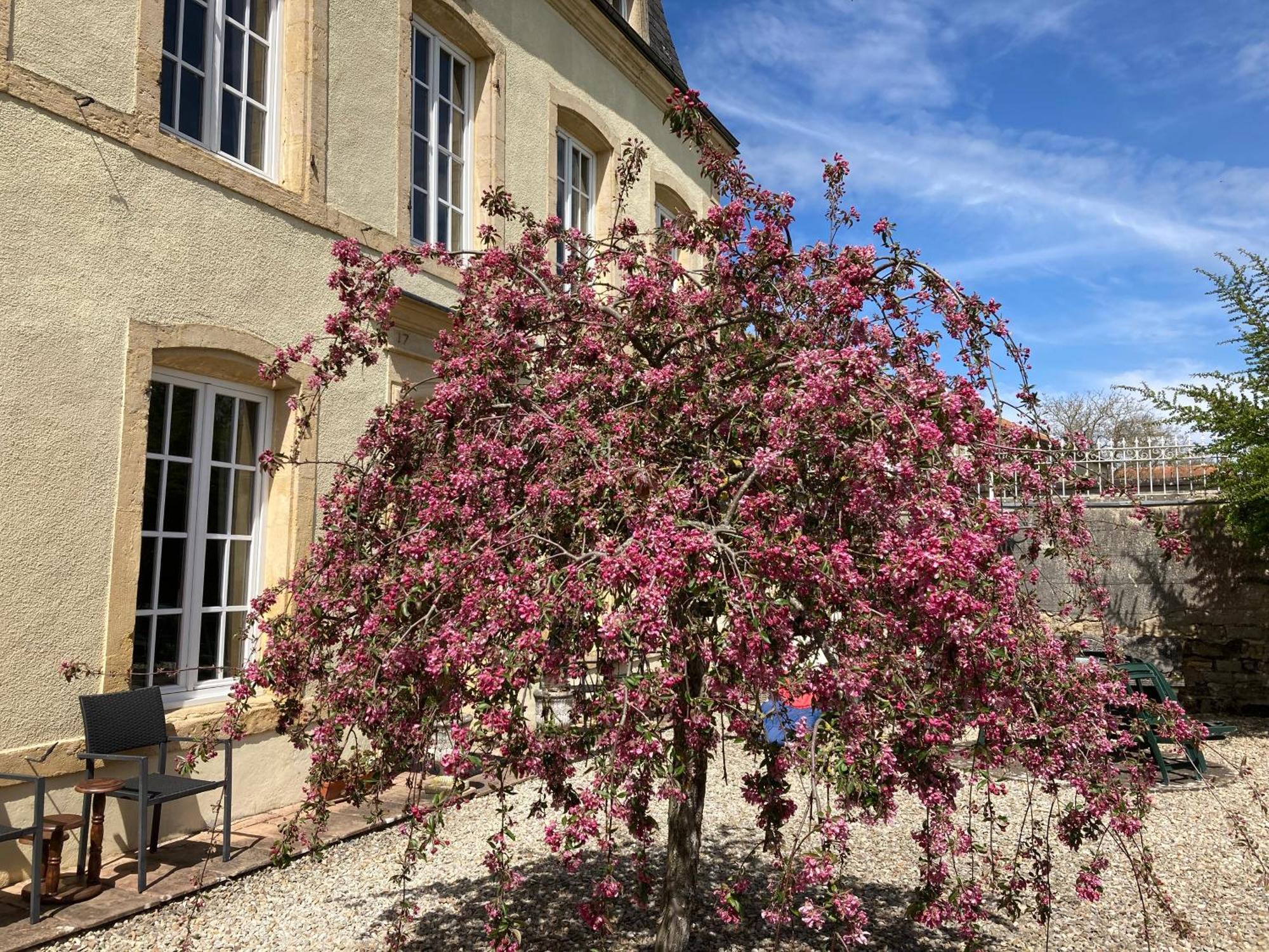 Maison Les Beaux Arts Mouzay  エクステリア 写真